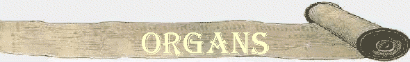 Organs