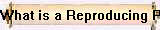What is a Reproducing Piano