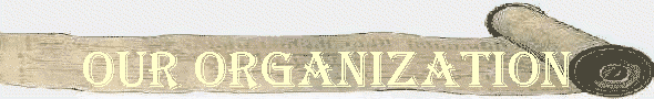 Our Organization
